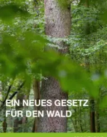 Greenpeace Stellungnahme BWaldG.pdf